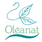 Oleanat