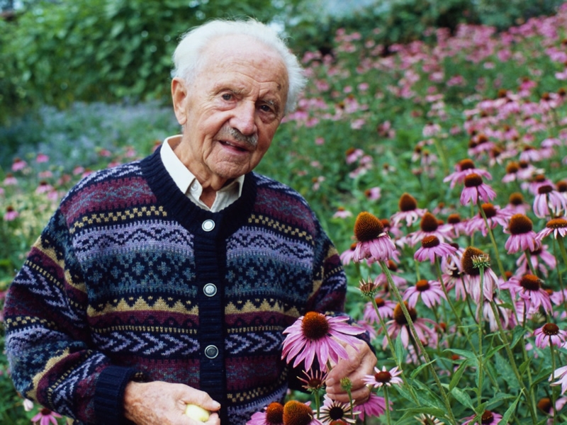 Alfred Vogel + echinacea blomster